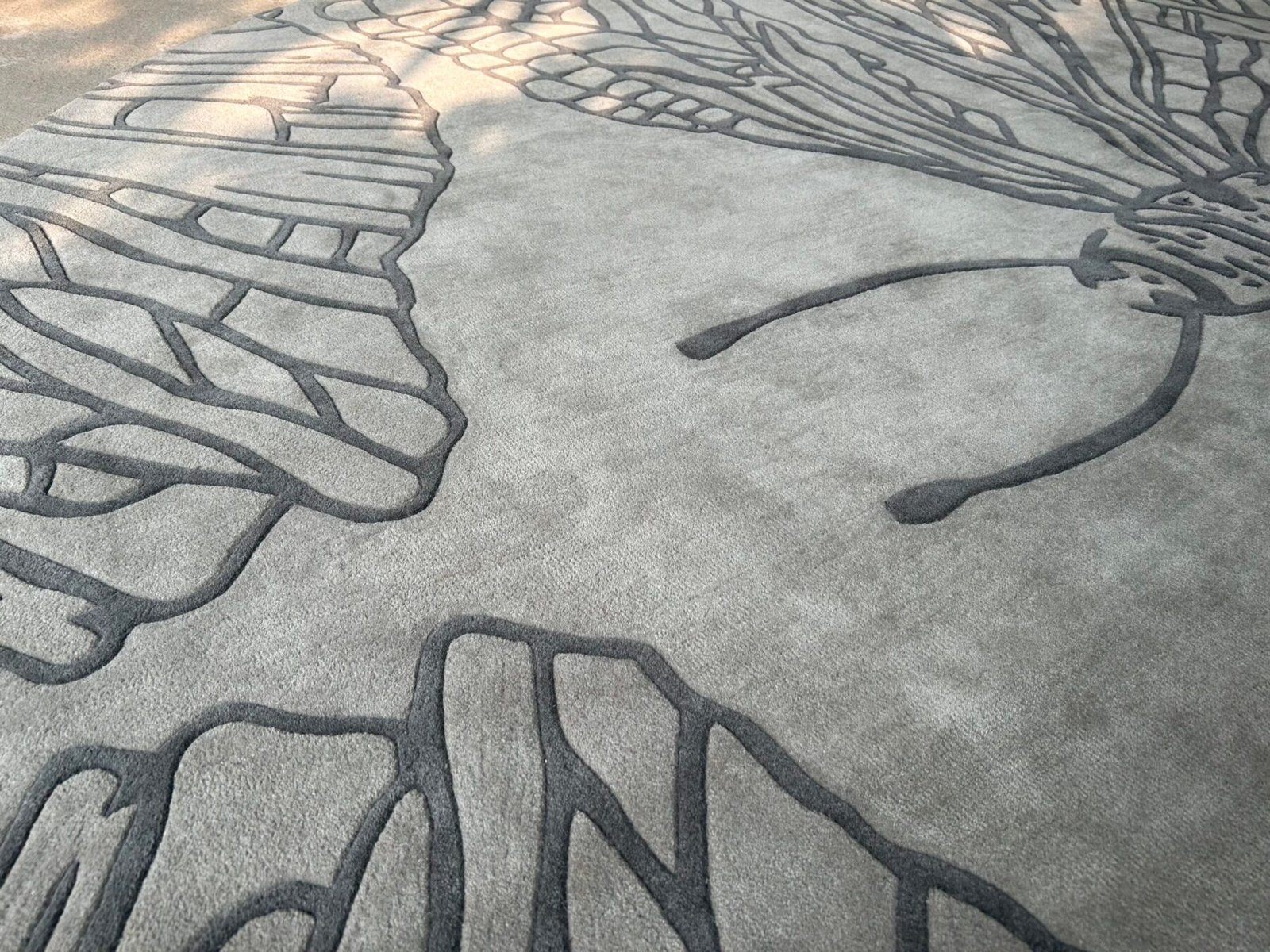 WINGSPAN RUG - Image 3